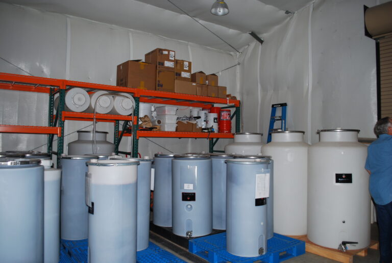 Sauvignon Blanc Grapes for Sale