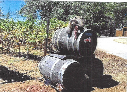 Free Zinfandel Grapes Available