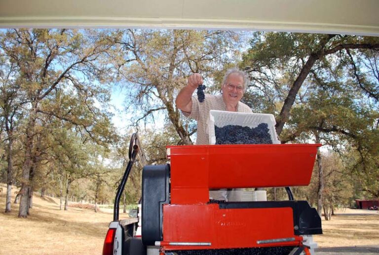 Winery stuff for sale